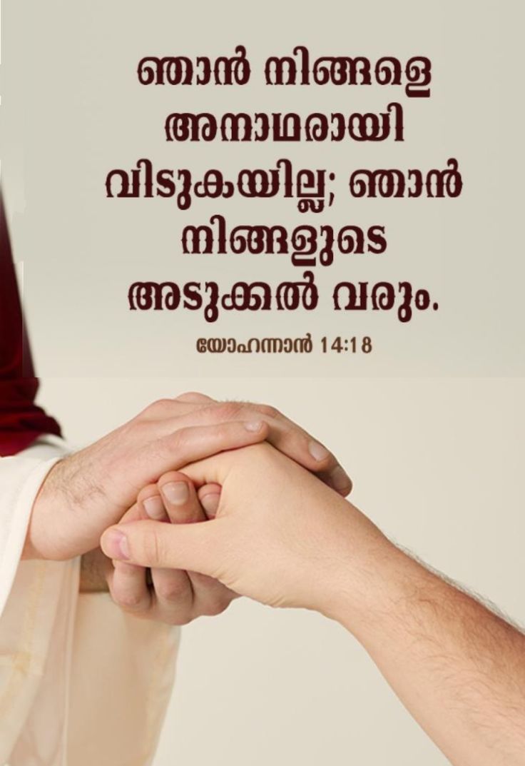 ഞാന്‍ നിങ്ങളെ അനാഥരായി വിടുകയില്ല. ഞാന്‍ നിങ്ങളുടെ അടുത്തേക്കു വരും

യോഹന്നാ‌ന്‍ 14:18